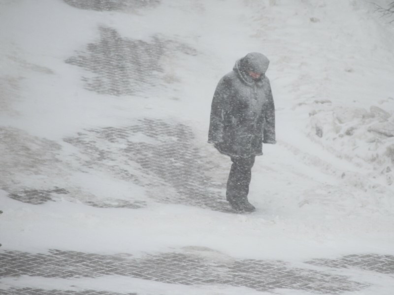 Фото Олега Яровикова.