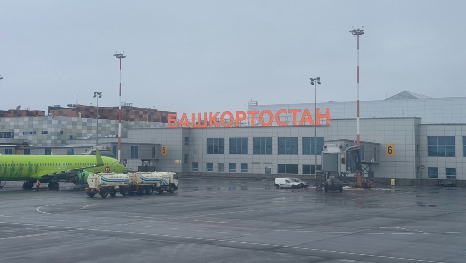 Елены Колоколовой.