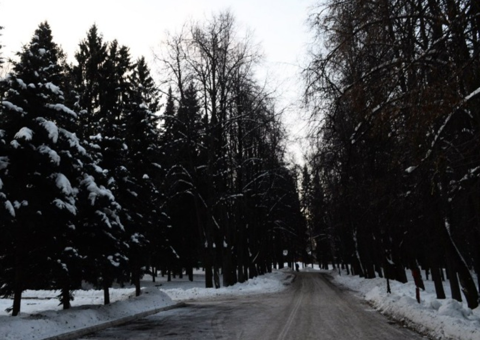 Владимира Шакиева.