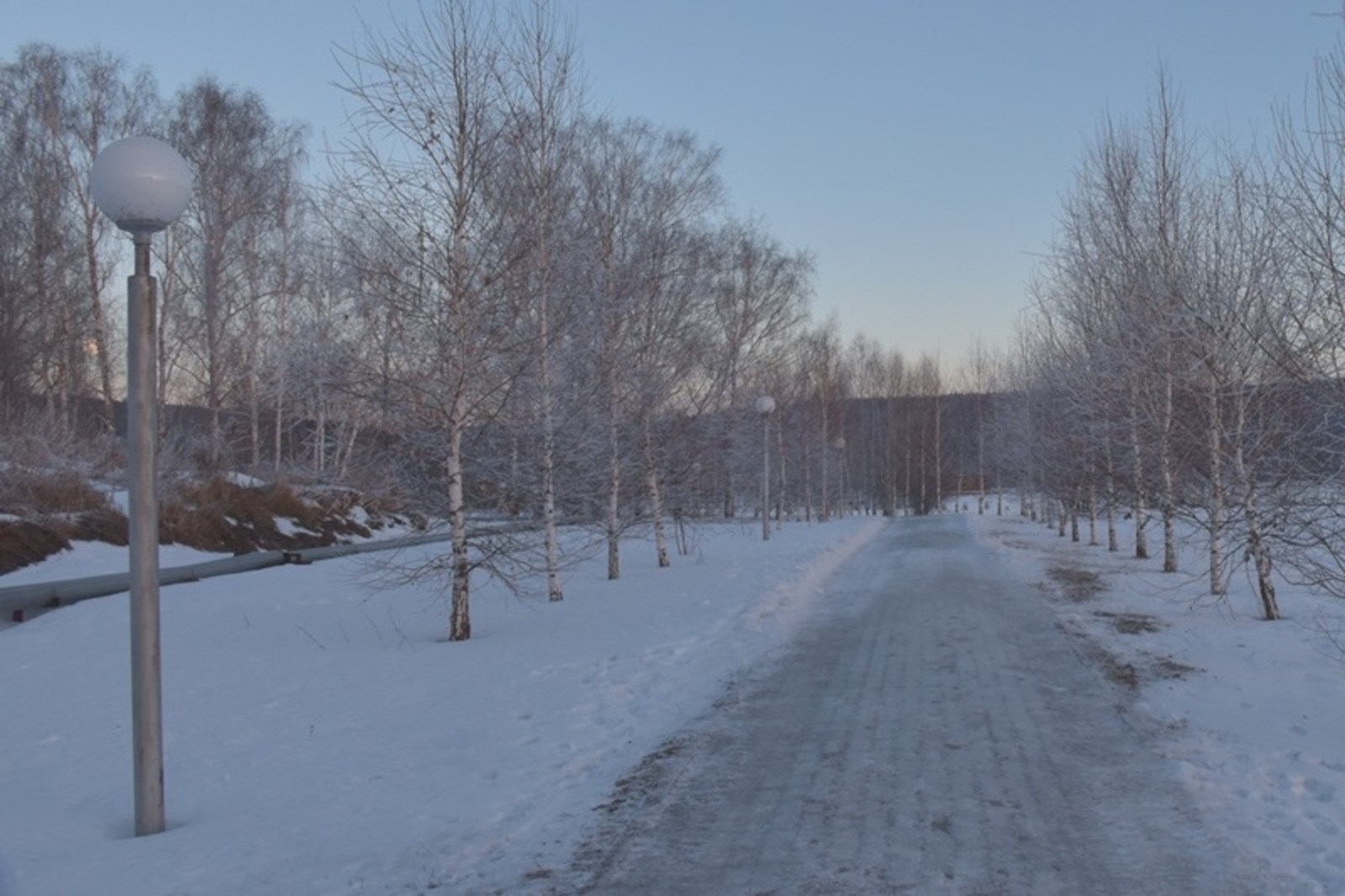 Фото Елены Колоколовой.