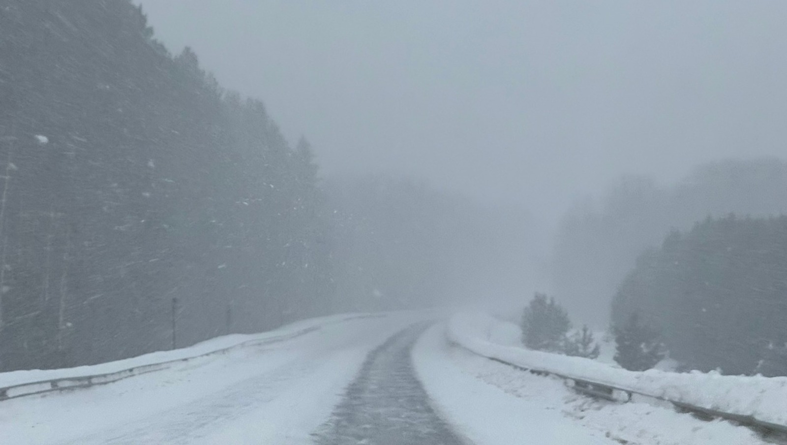 Елены Колоколовой. «Общественная электронная газета».