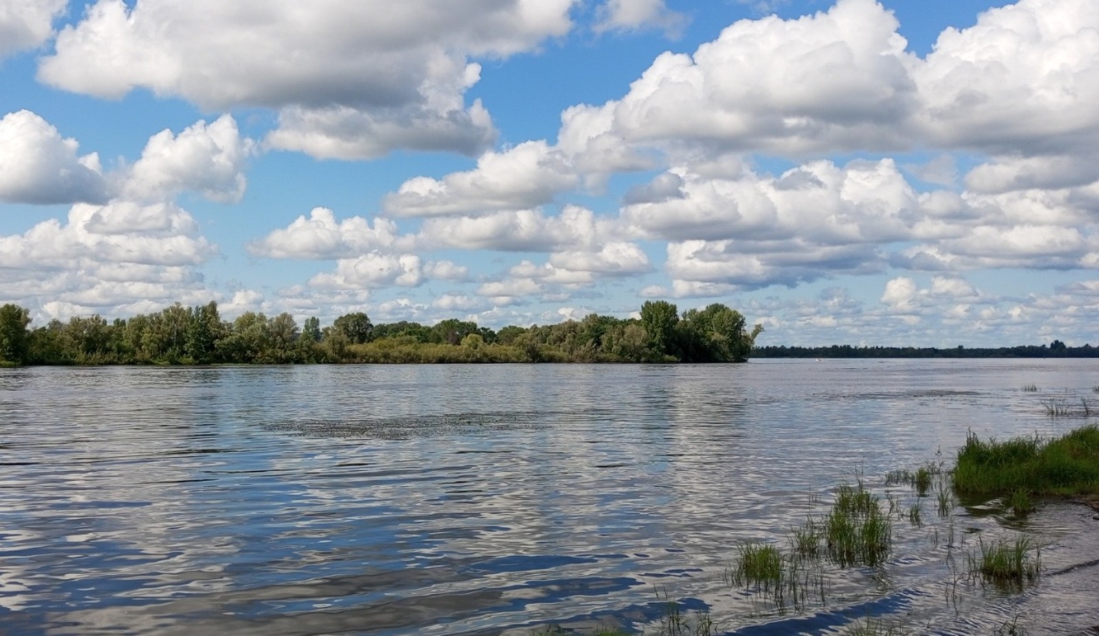 Евгении Сюткиной.