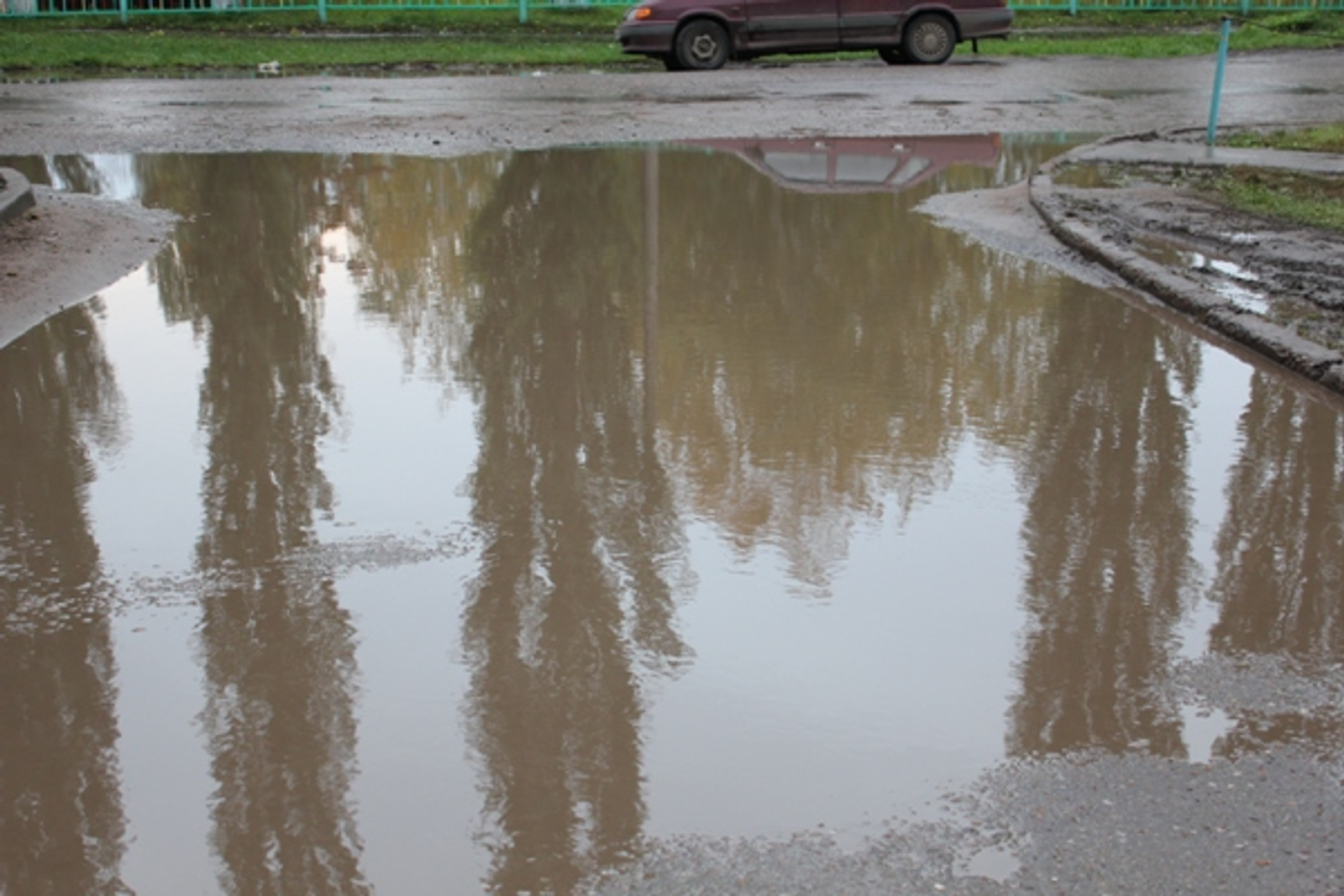 Фото автора.