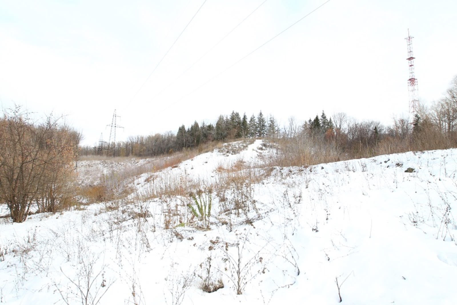 Фото Олега Яровикова.