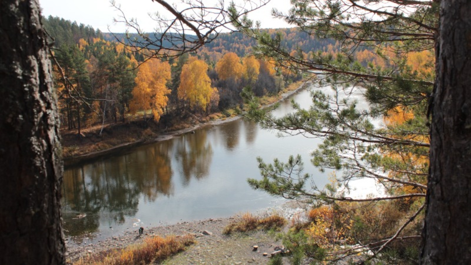Дарьи Святохиной.