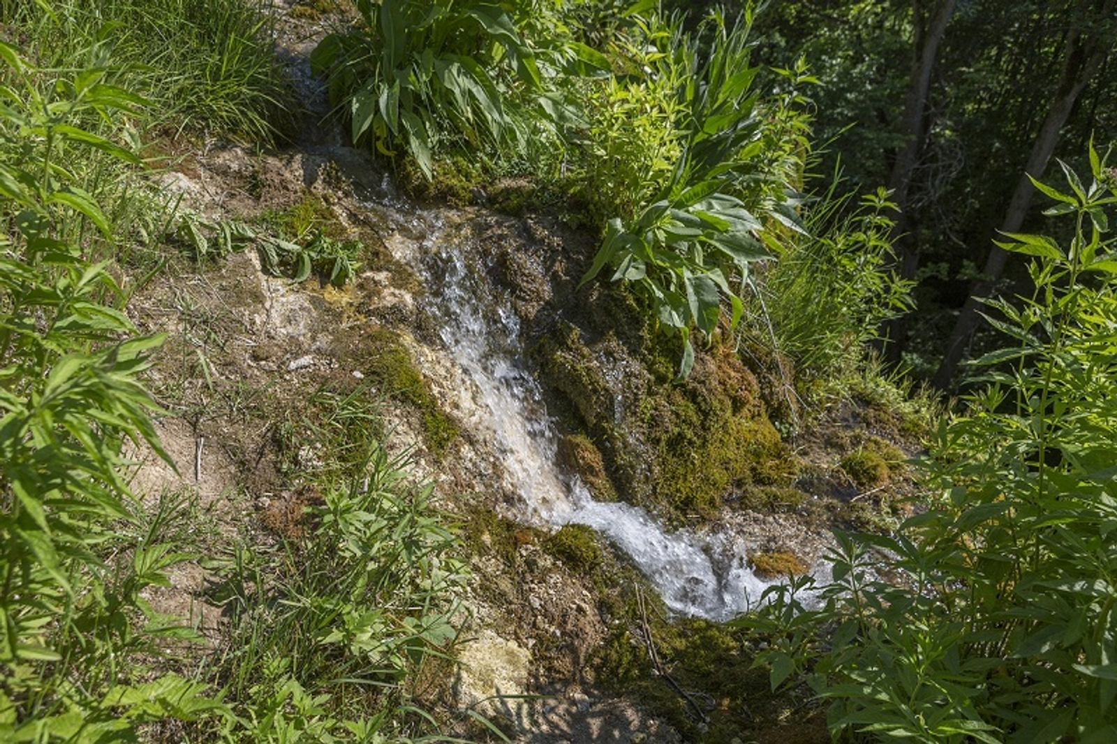 Фото Фаиля Абсатарова.