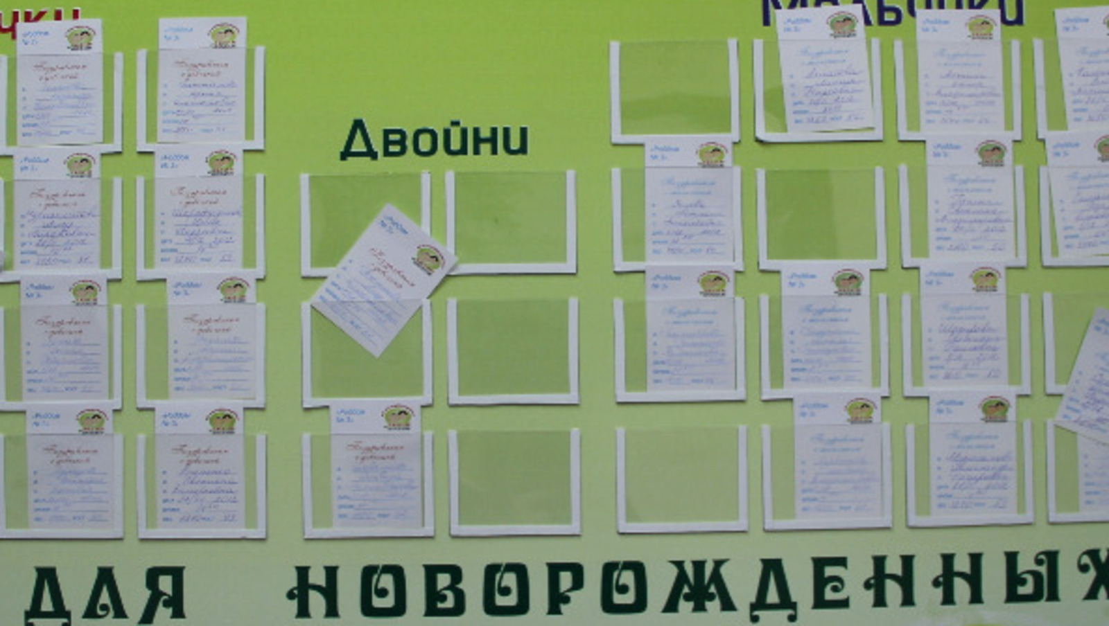 Елены Колоколовой.