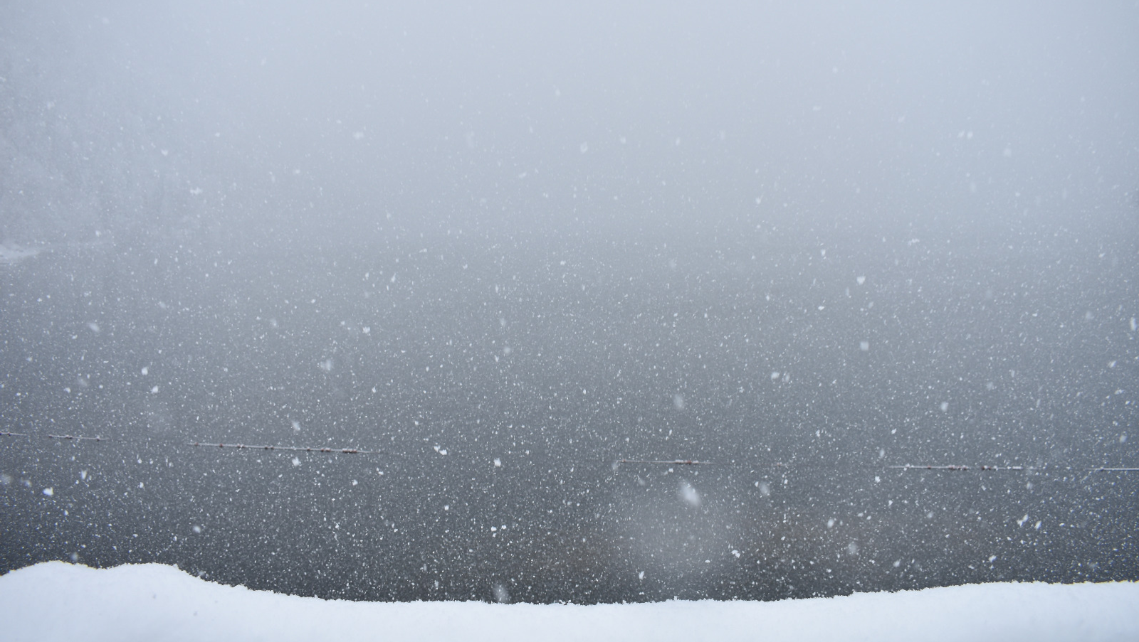 Елены Колоколовой.