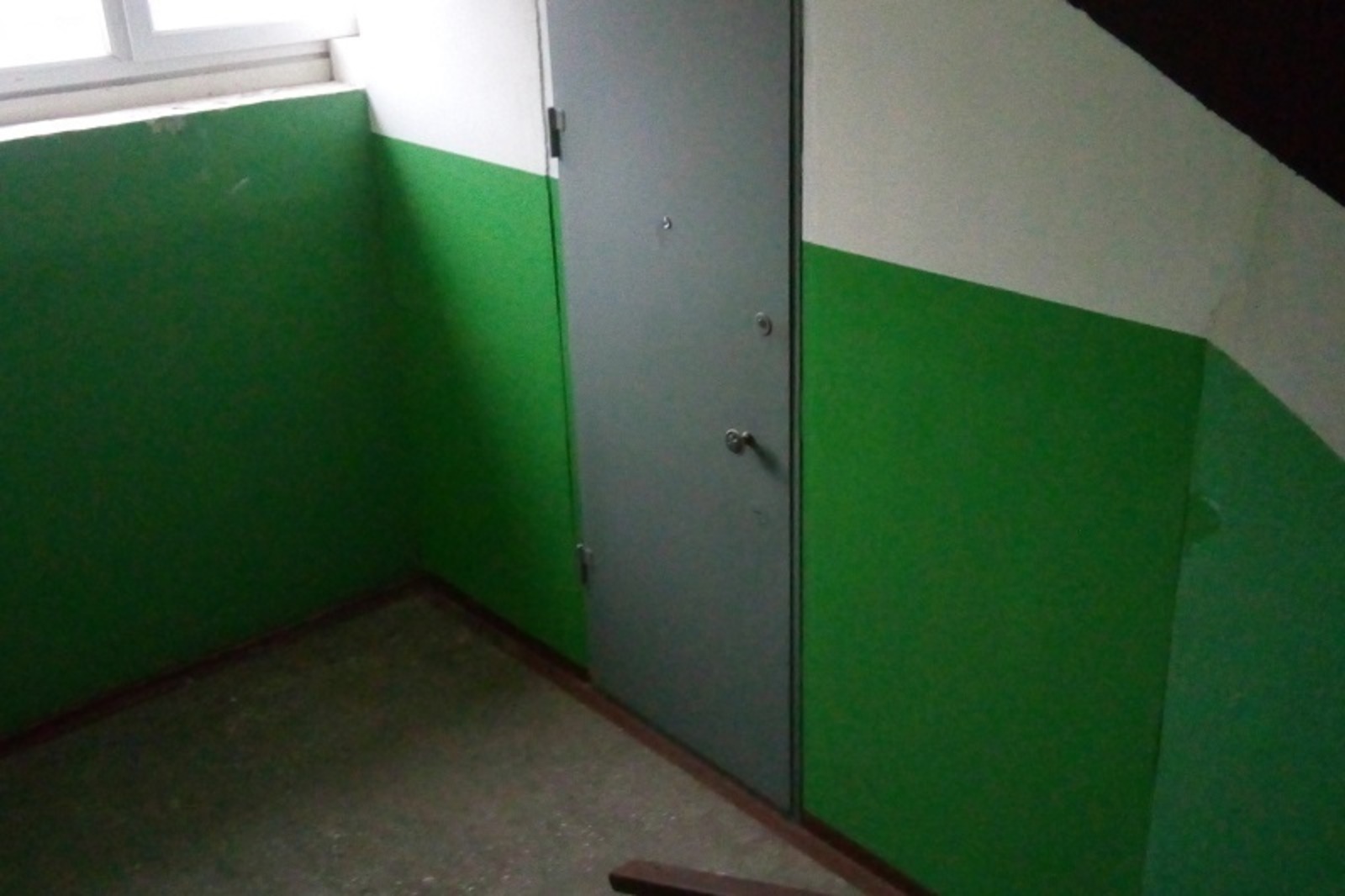 Фото автора.