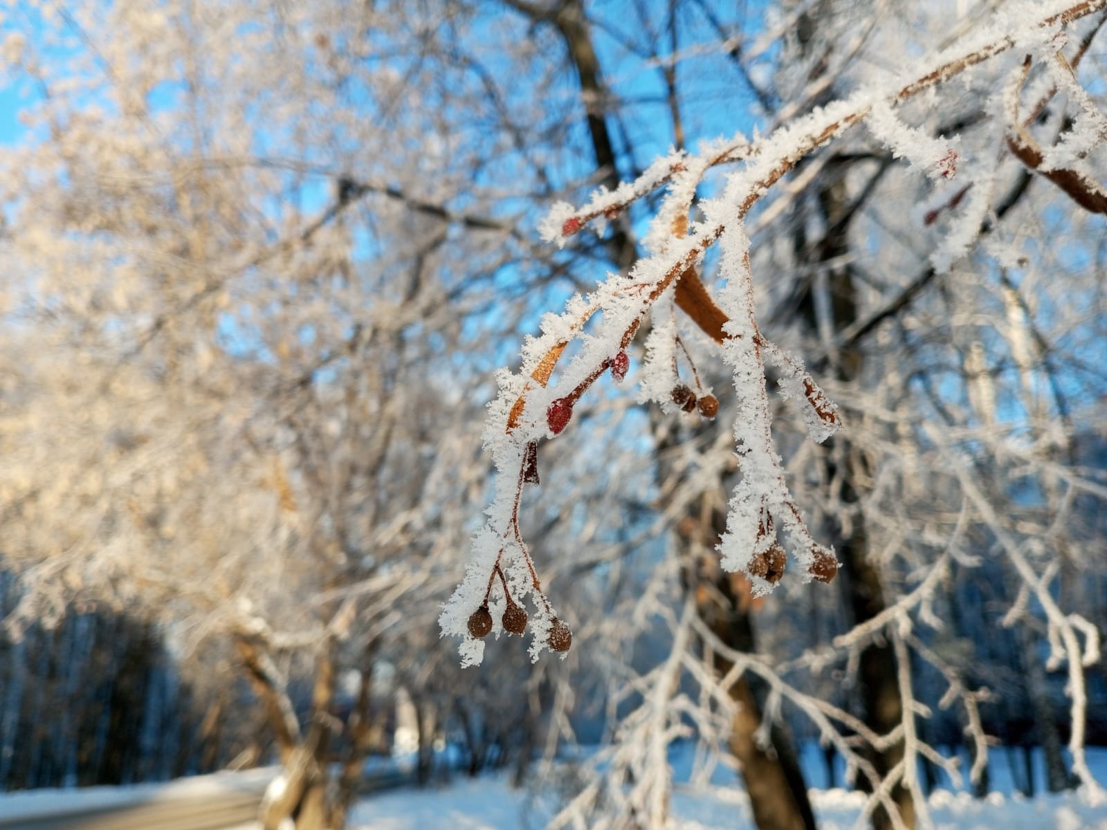 Евгении Сюткиной.