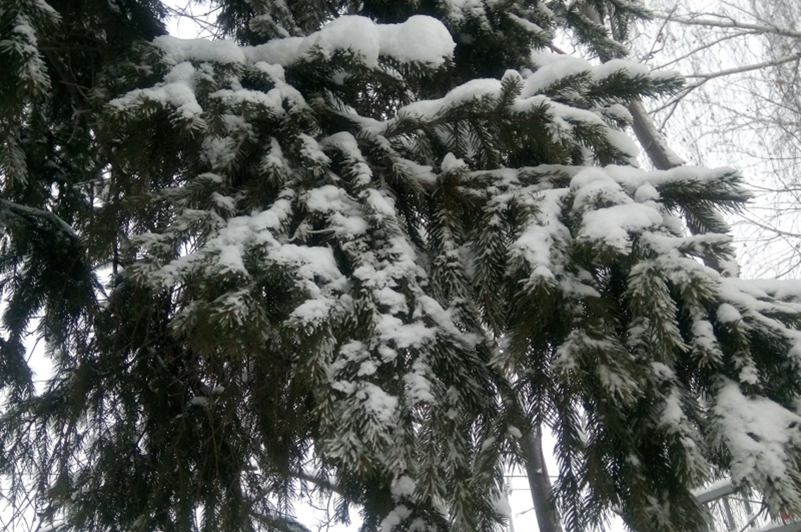 Фото Васили Саитовой.