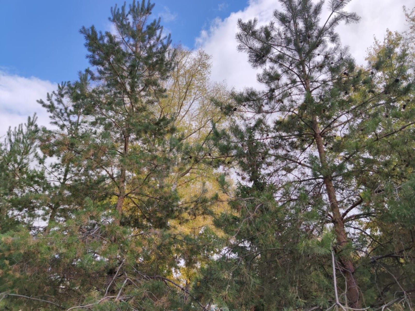 Дарьи Святохиной.