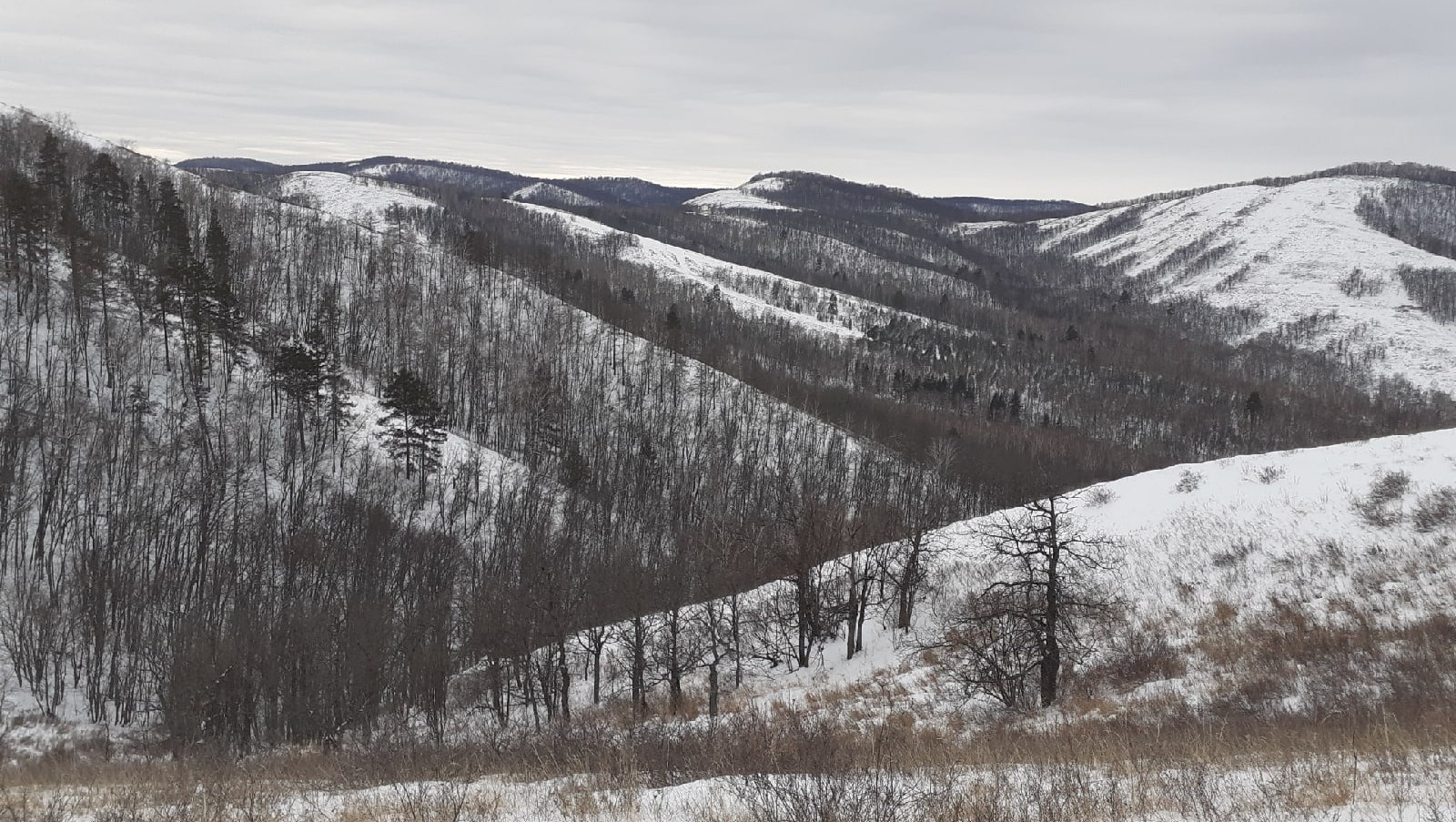 Владимира Шакиева.  «Общественная электронная газета».
