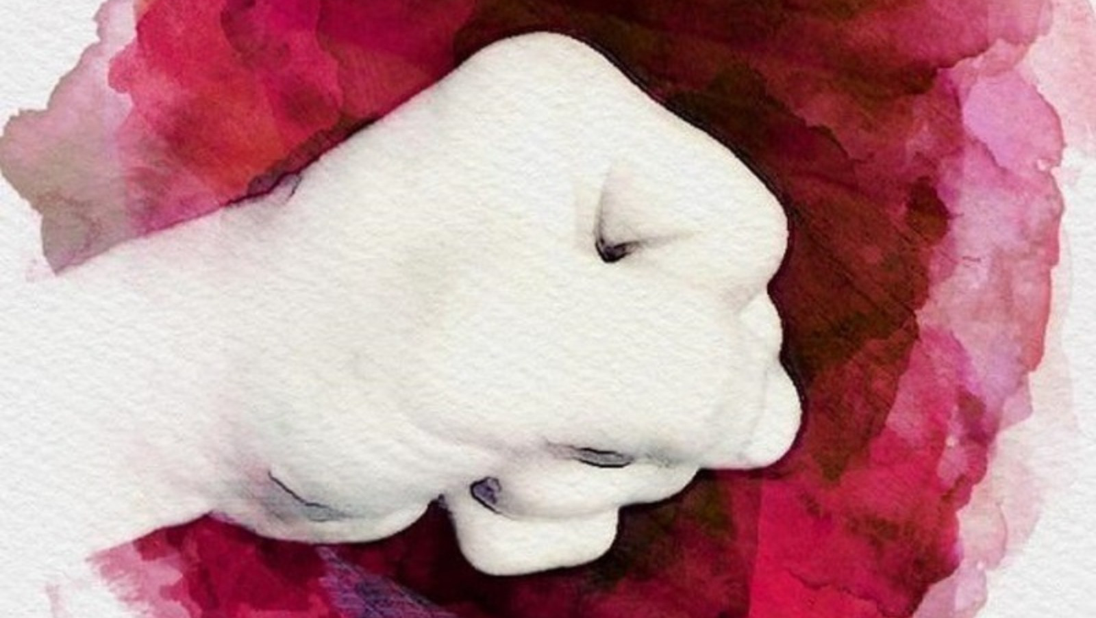 рисунок Раиля Латыпова.