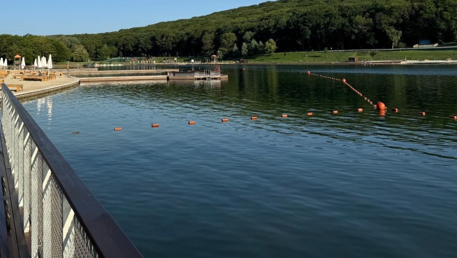 Елены Колоколовой.