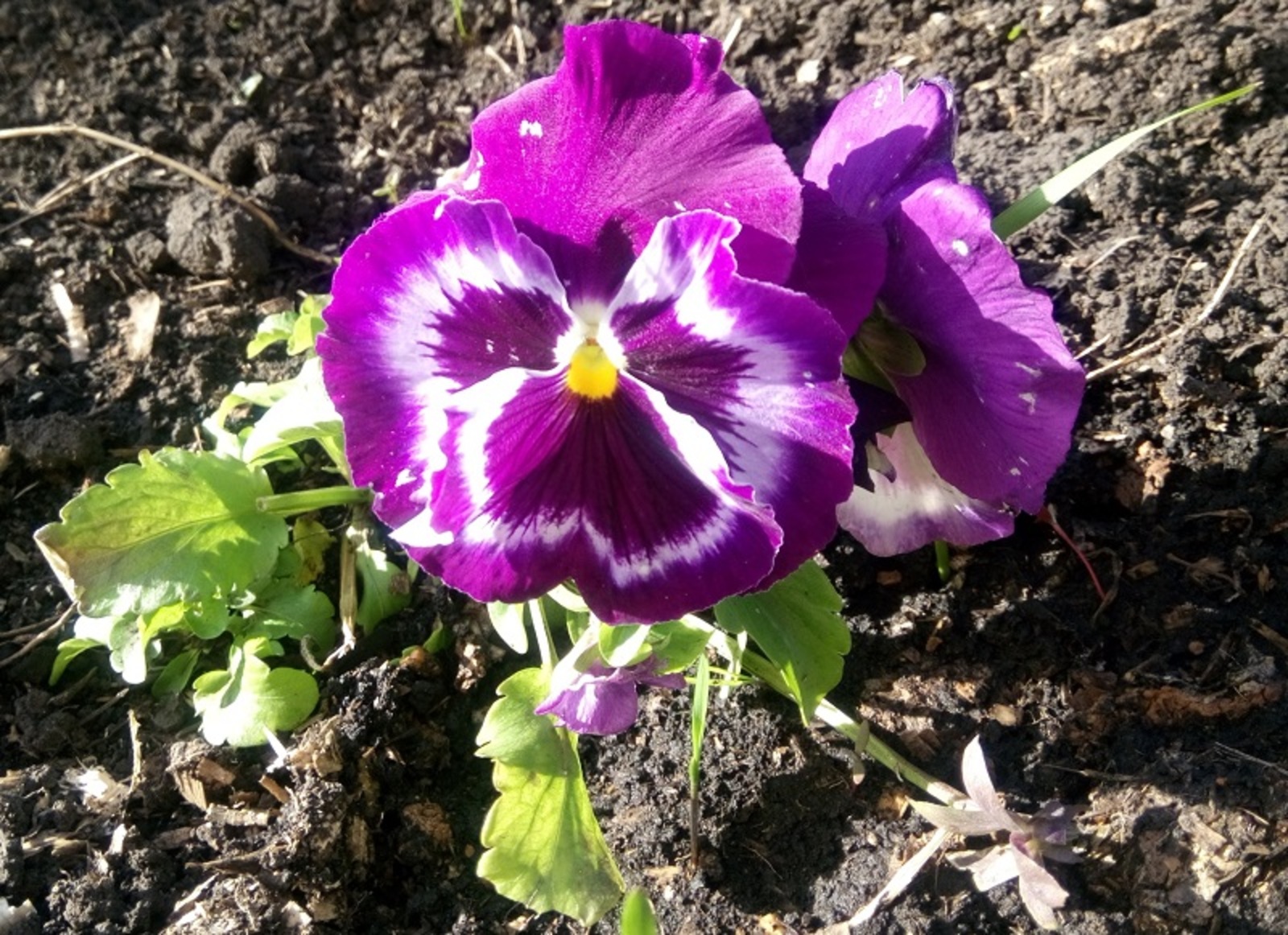 Фото Васили Саитовой.