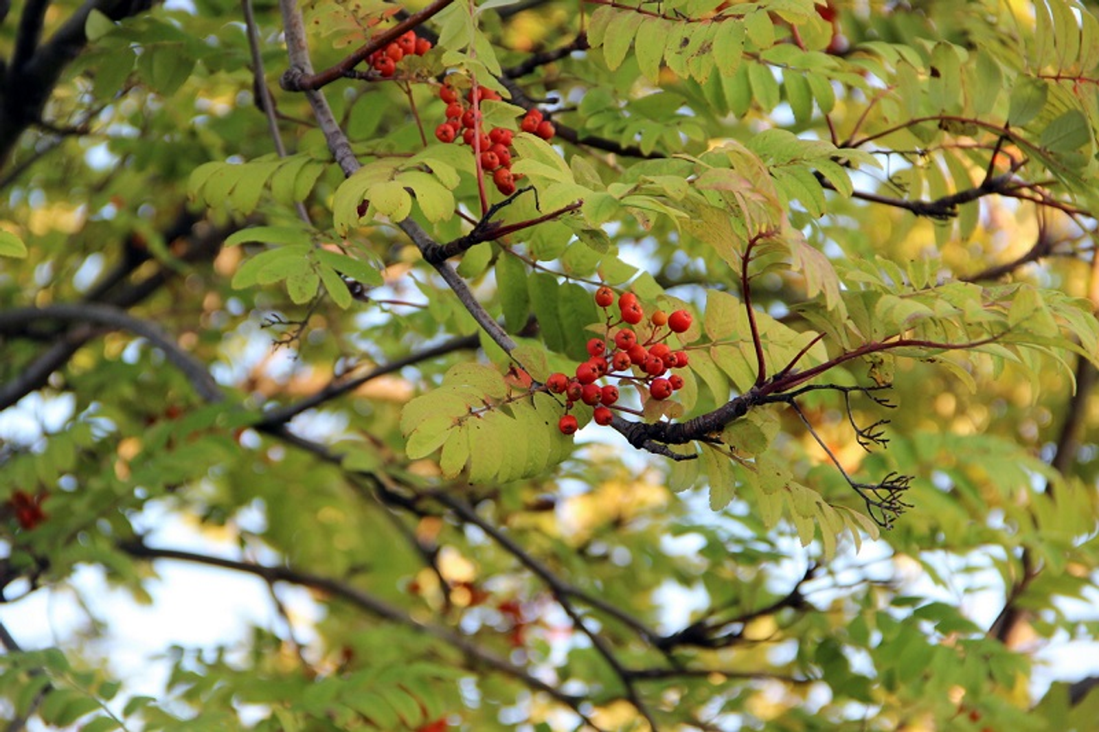 Фото ИА «Башинформ».