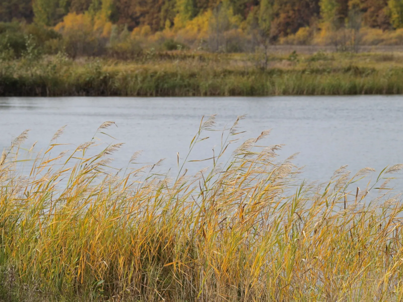 Фото Олега Яровикова.