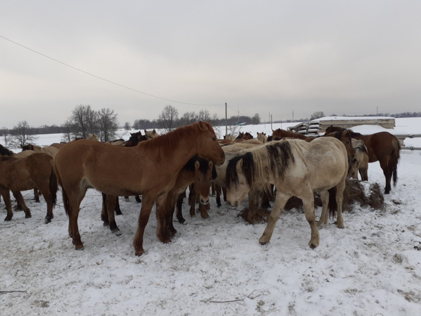 Фото автора.