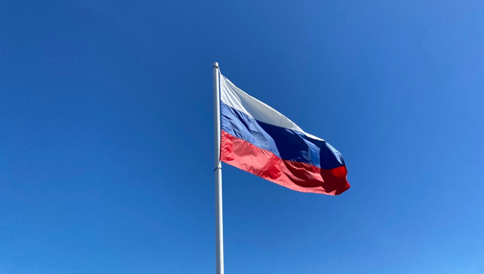 Елены Колоколовой.