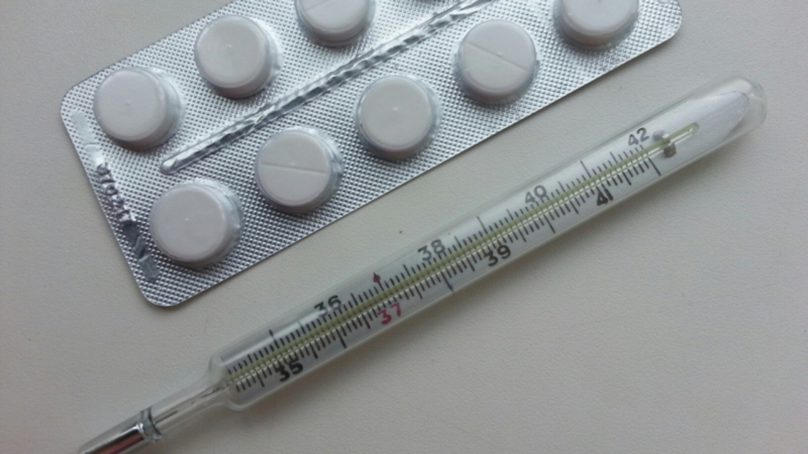 Фото Елены Колоколовой.