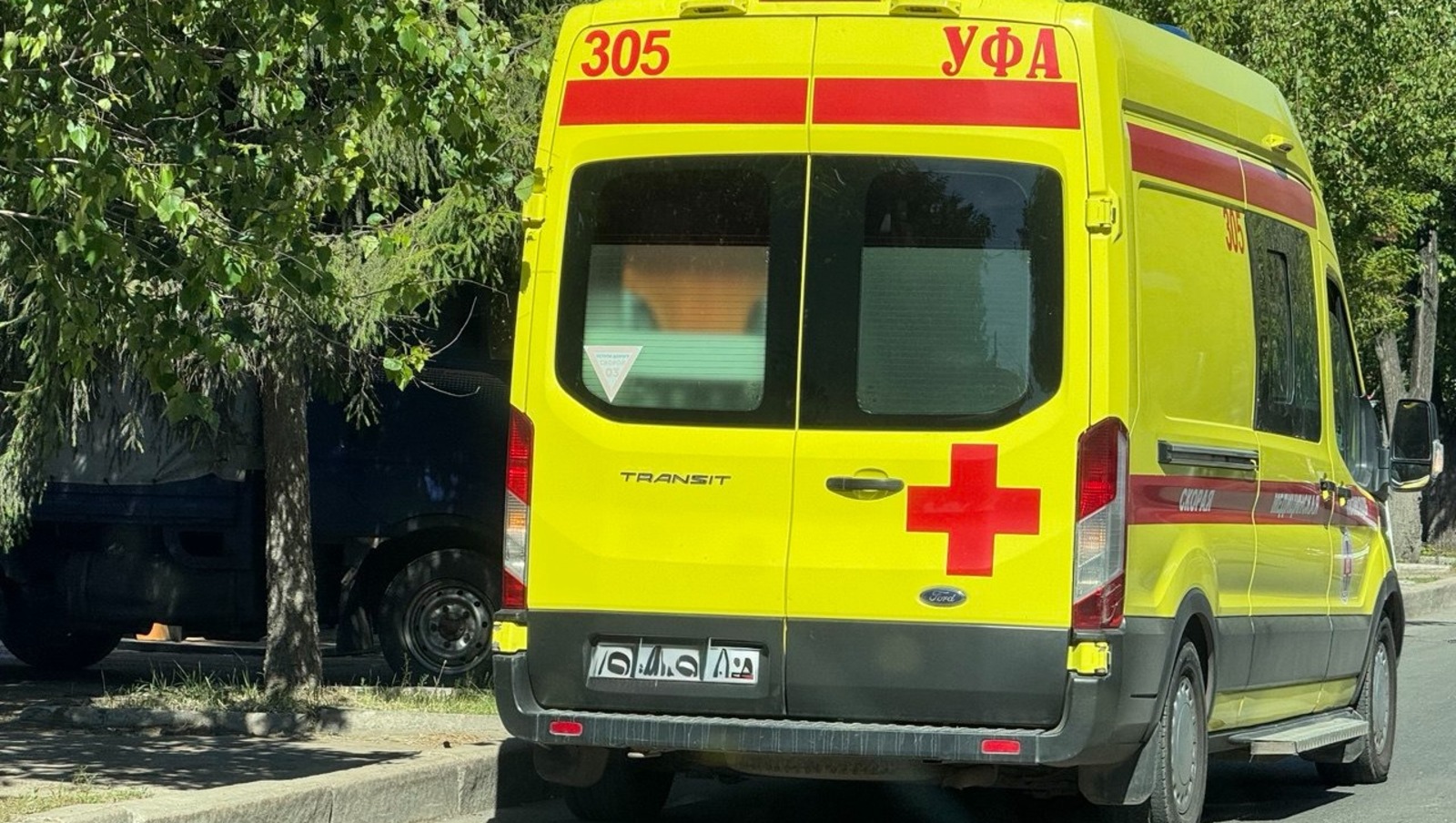 Елены Колоколовой.