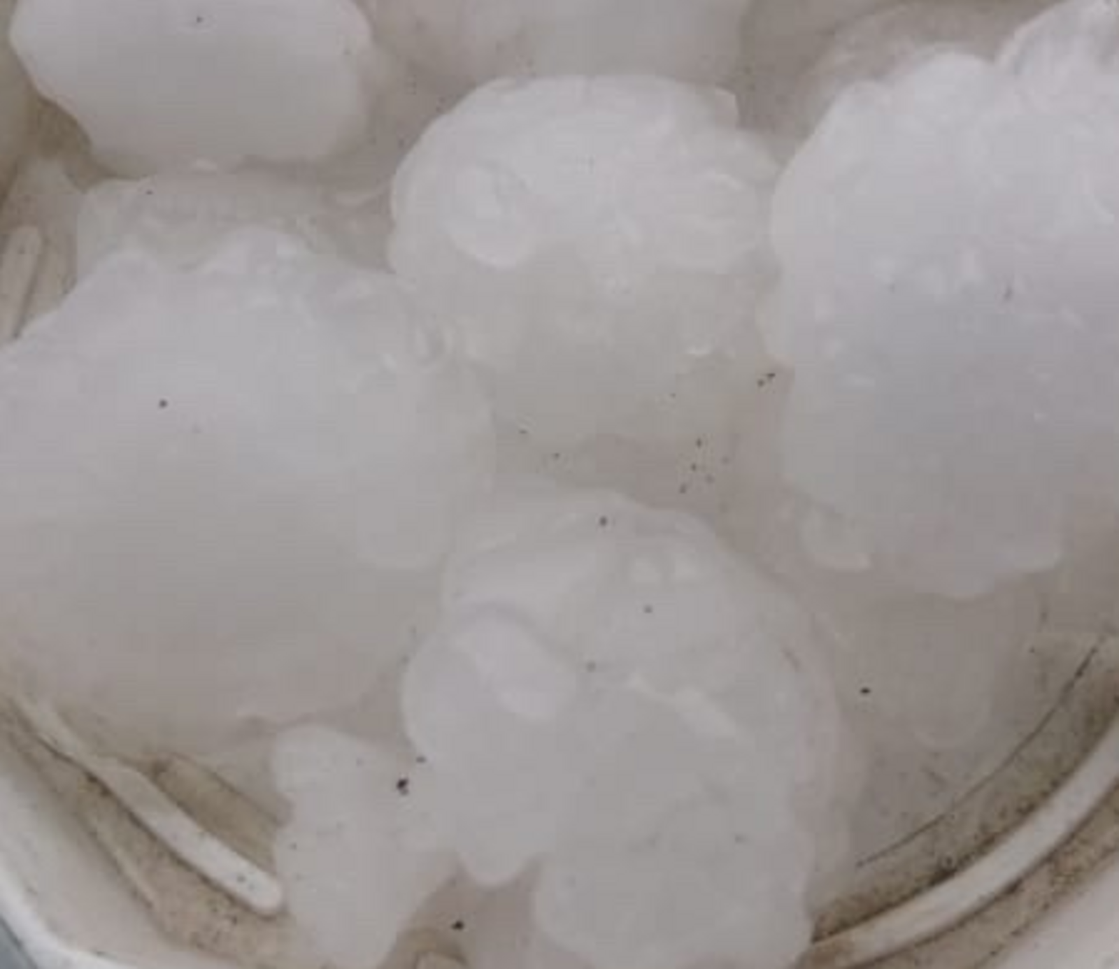 Фото предоставлено Светланой Бажановой.