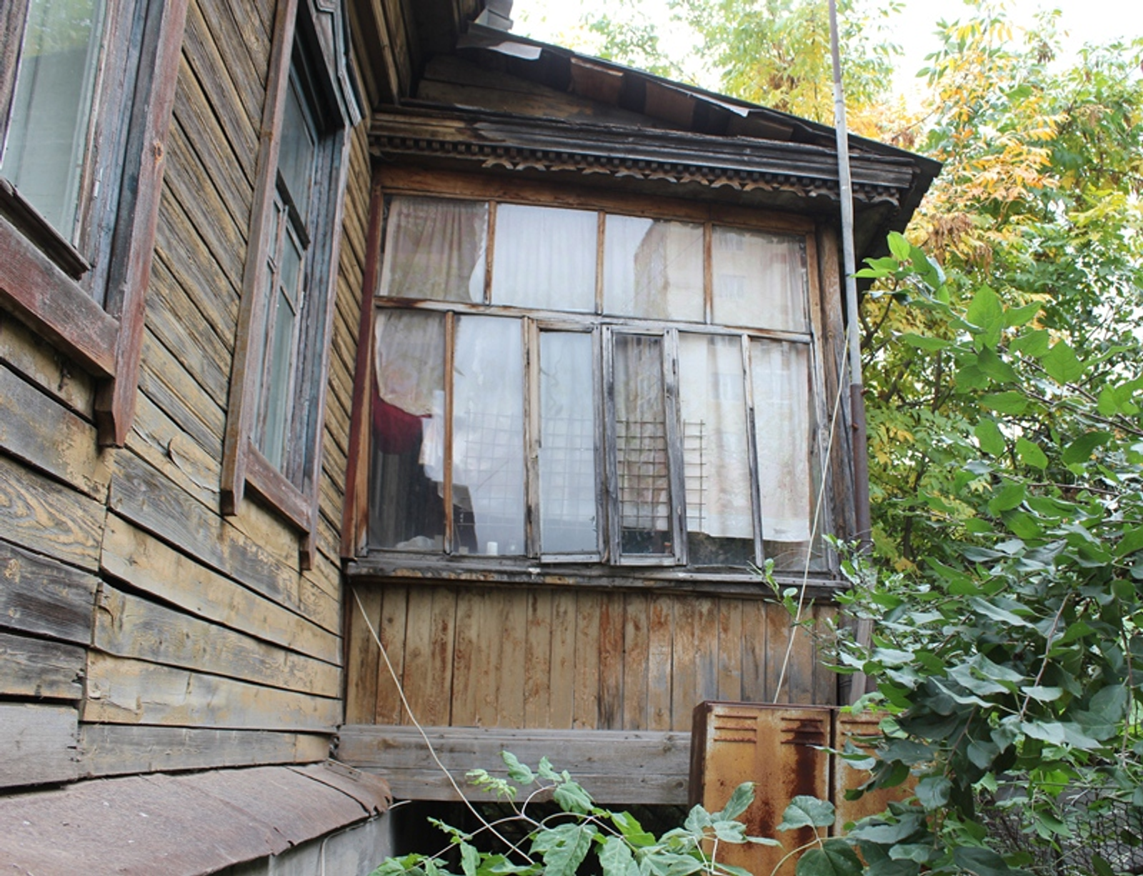 Фото автора.