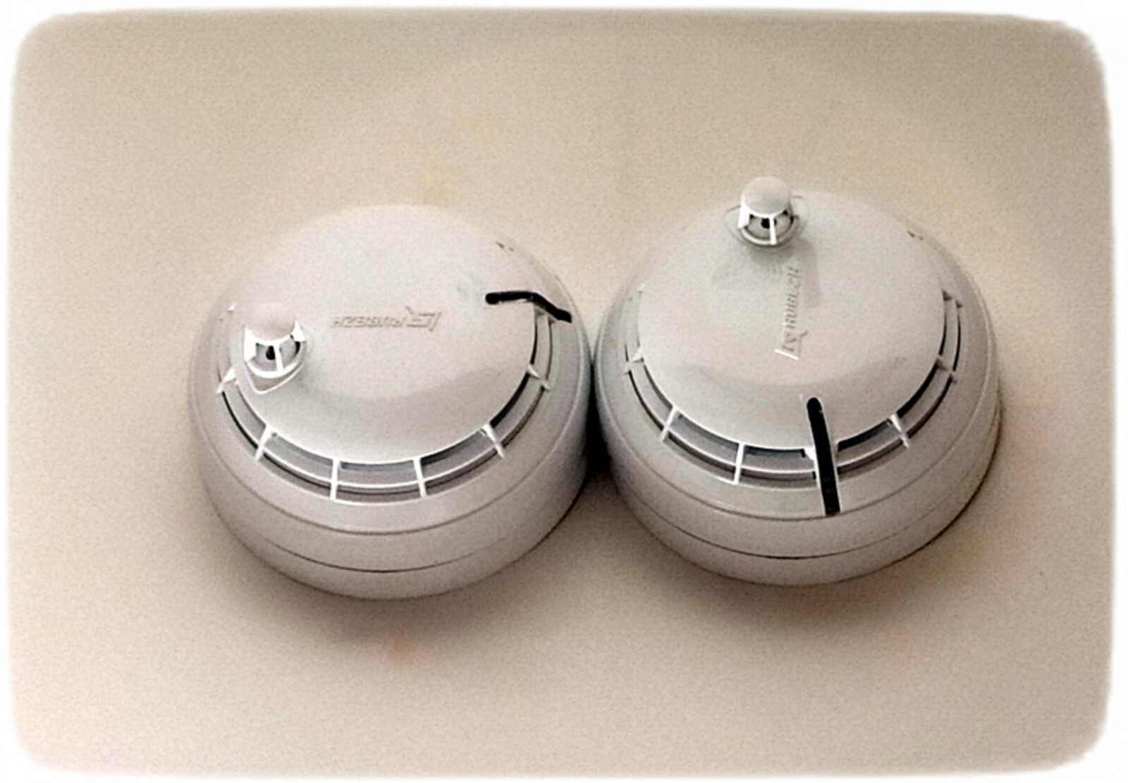 Фото Васили Саитовой.