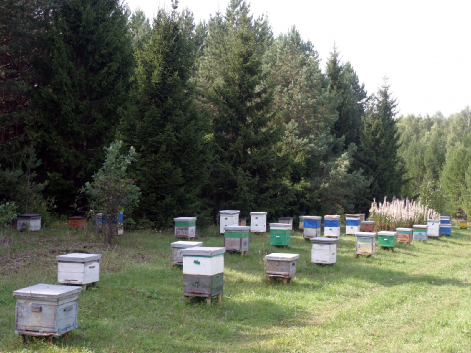 Фото Олега Яровикова.