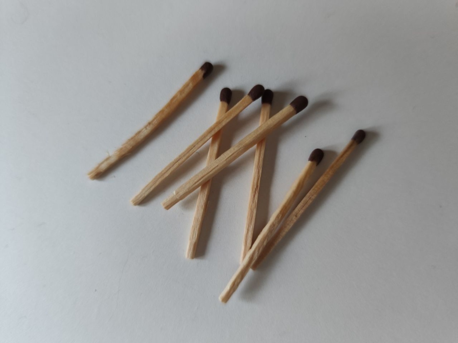 Дарьи Святохиной. "Общественная электронная газета".