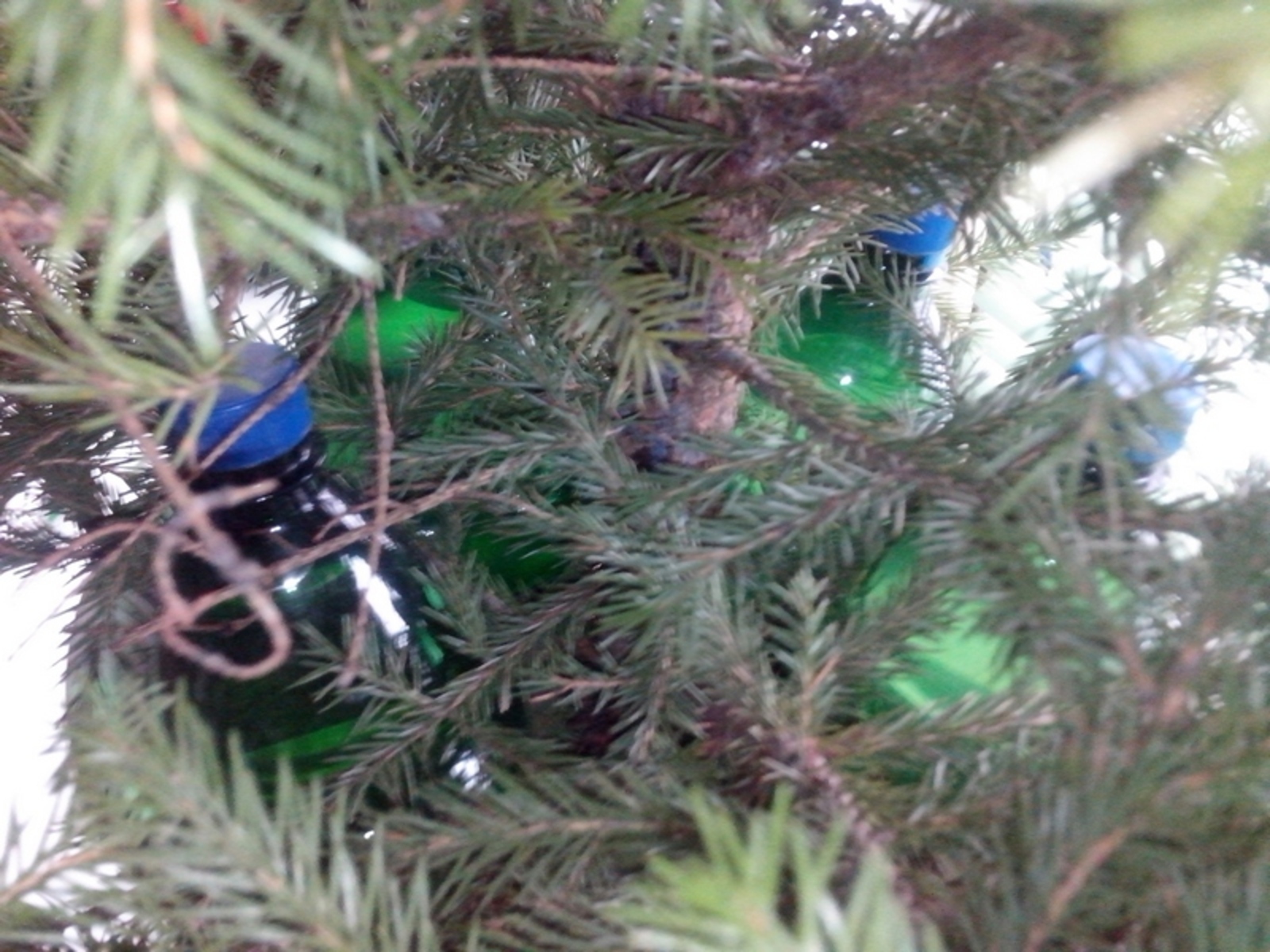 Фото Сергея Тарарако.