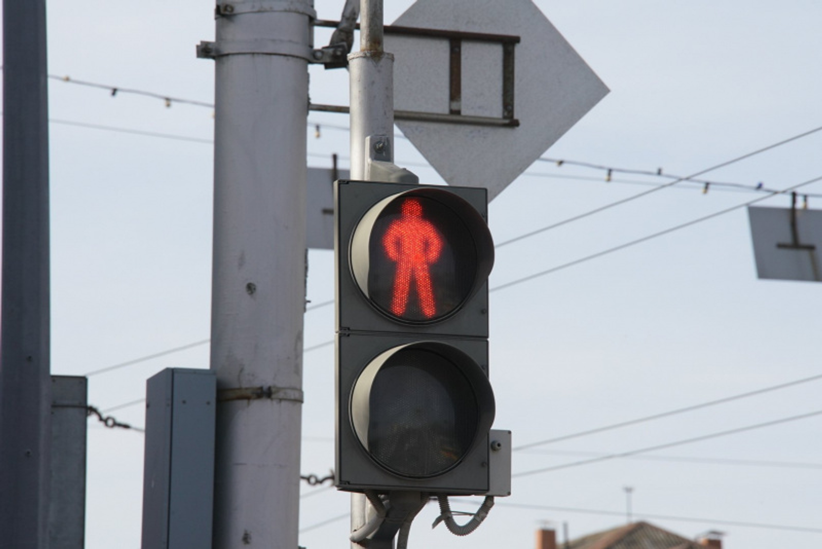 Фото Олега Яровикова.