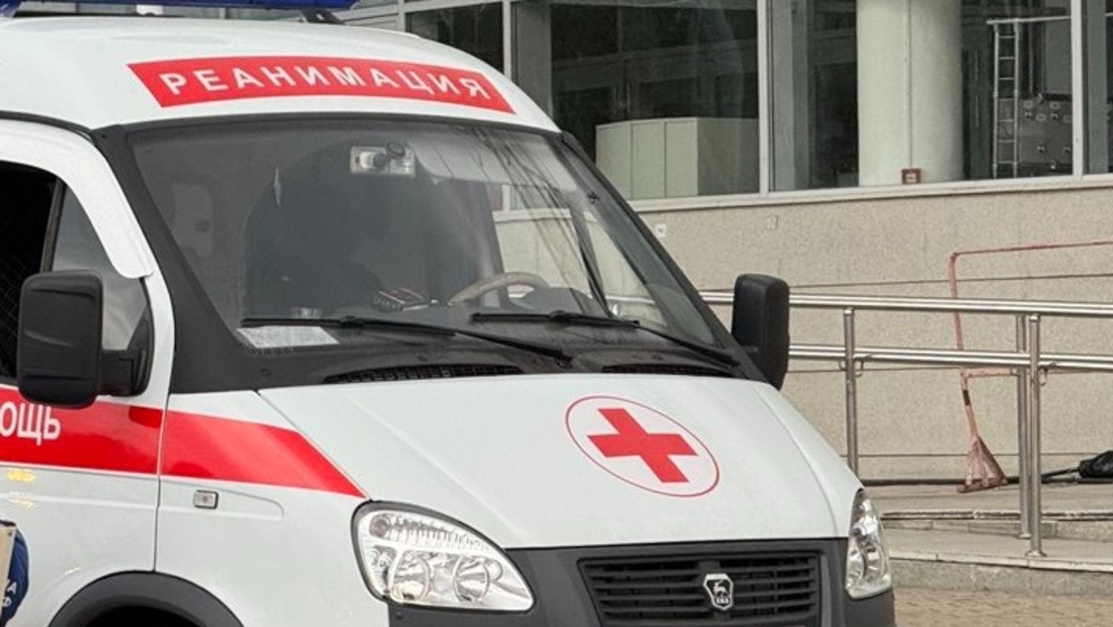 Елены Колоколовой.