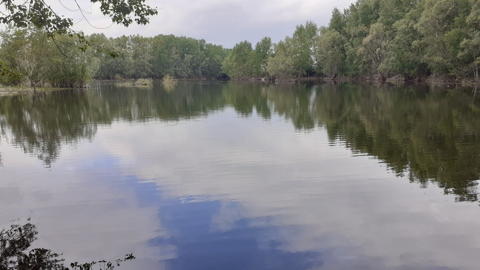 Владимира Шакиева.