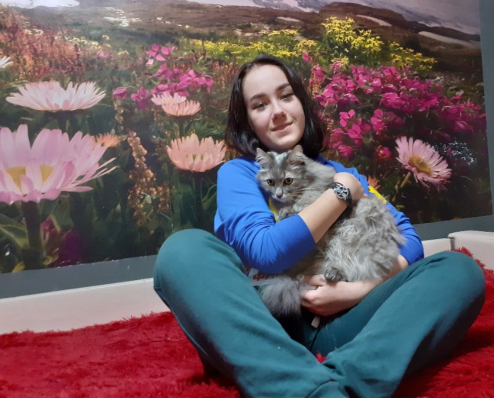 Владимира Шакиева.