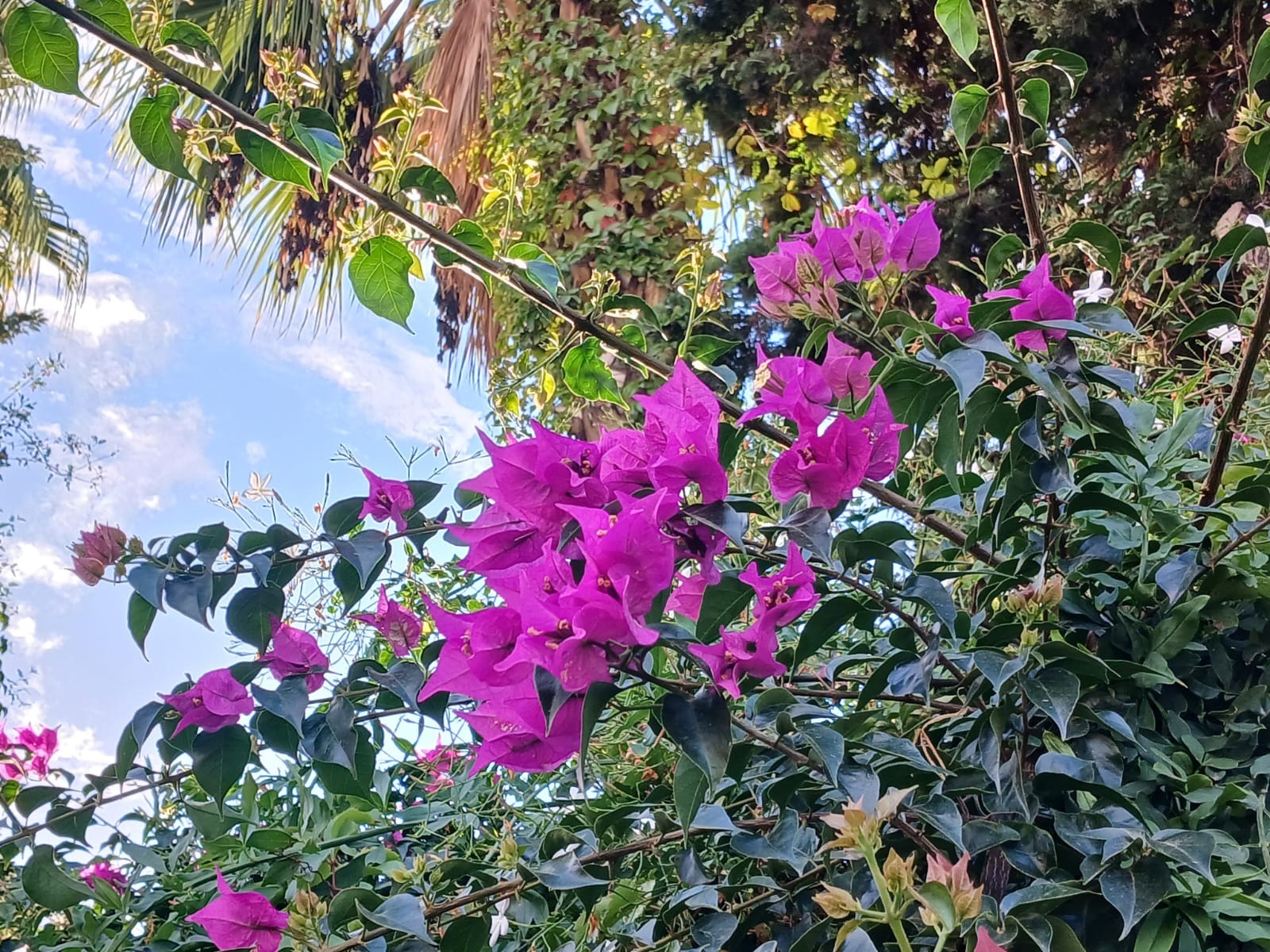 Васили Саитовой. «Общественная электронная газета».