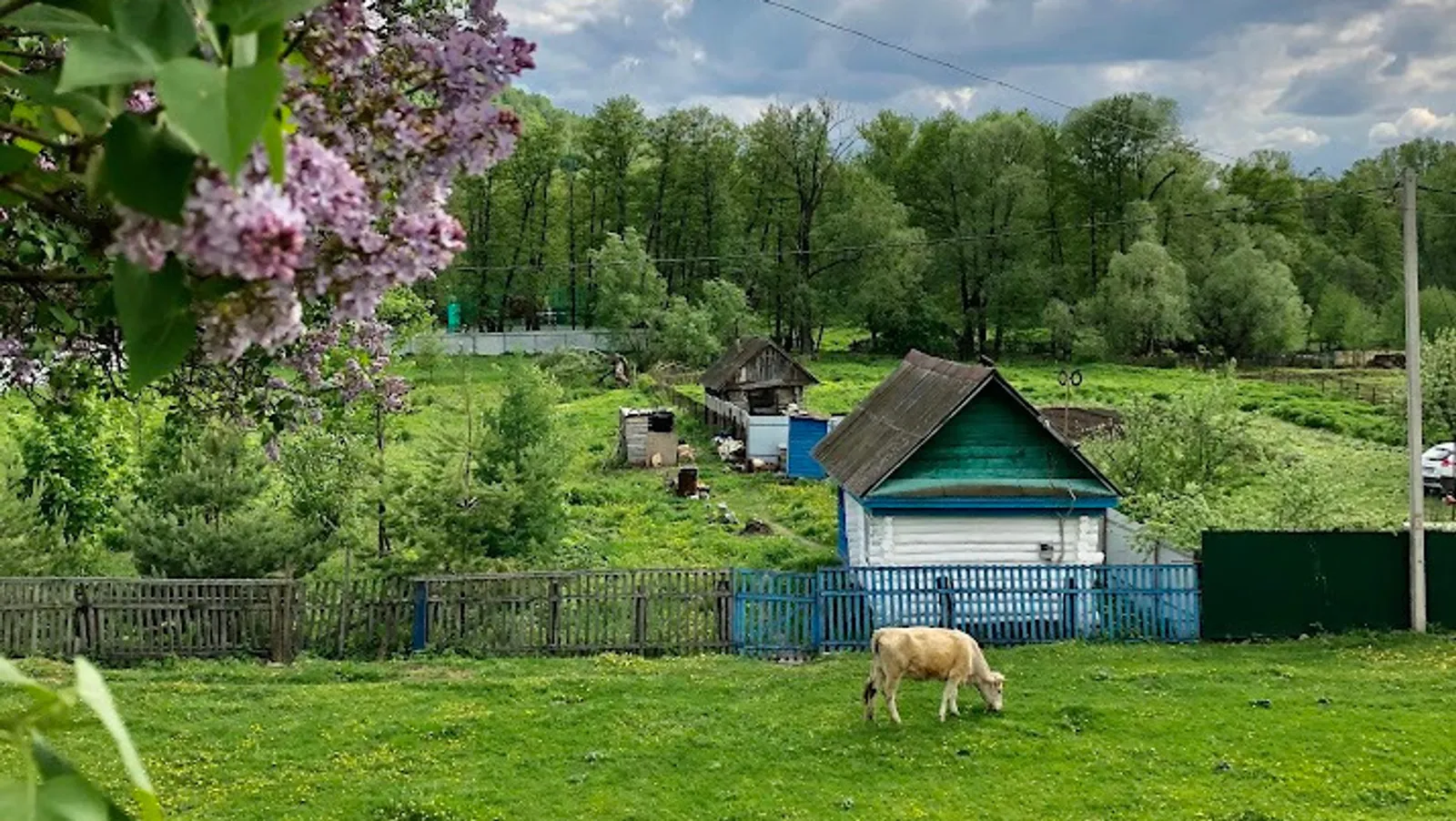 Елены Колоколовой.