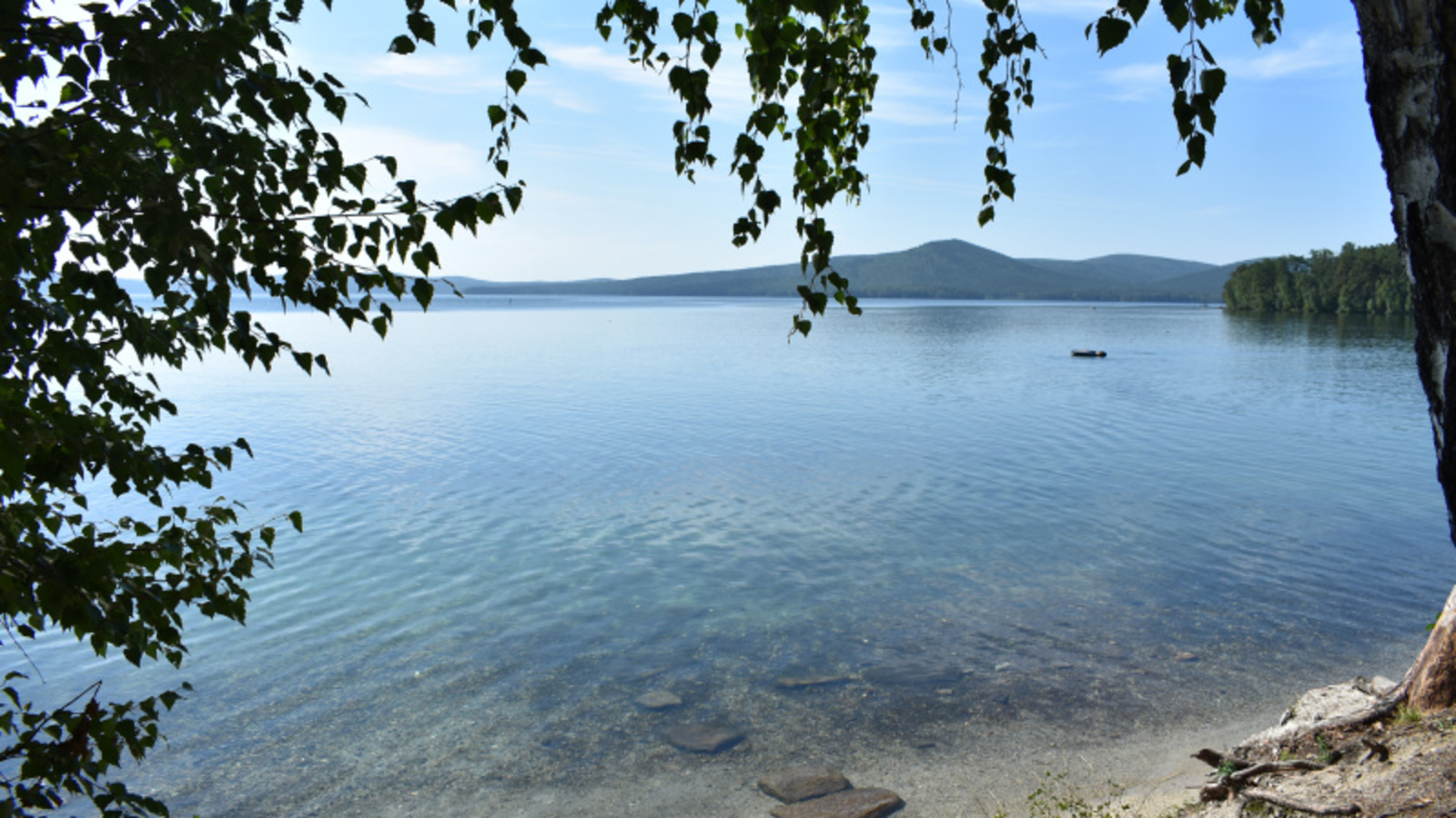 Фото Елены Колоколовой.