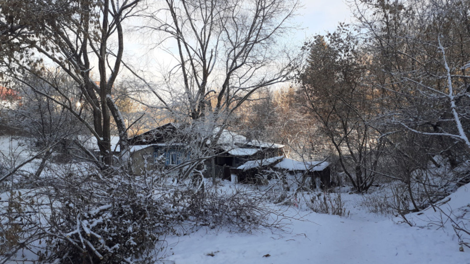 Фото автора.