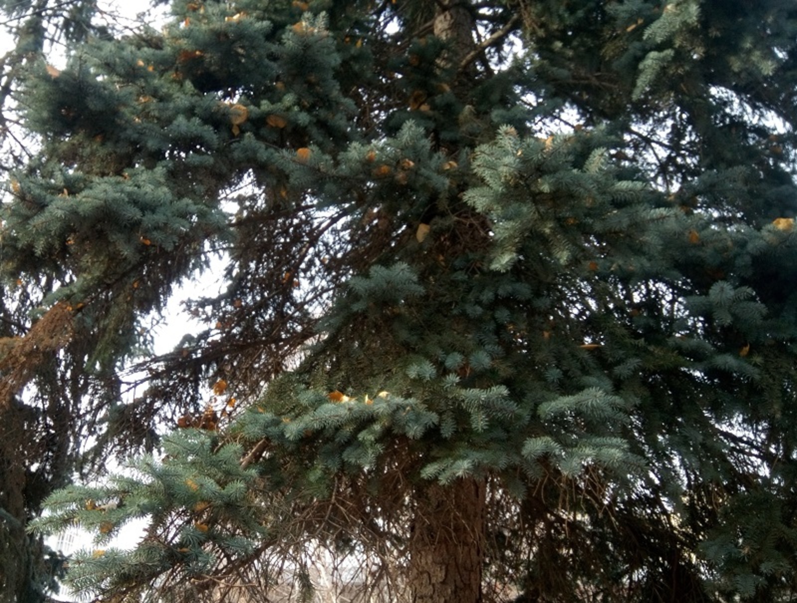 Фото Васили Саитовой.