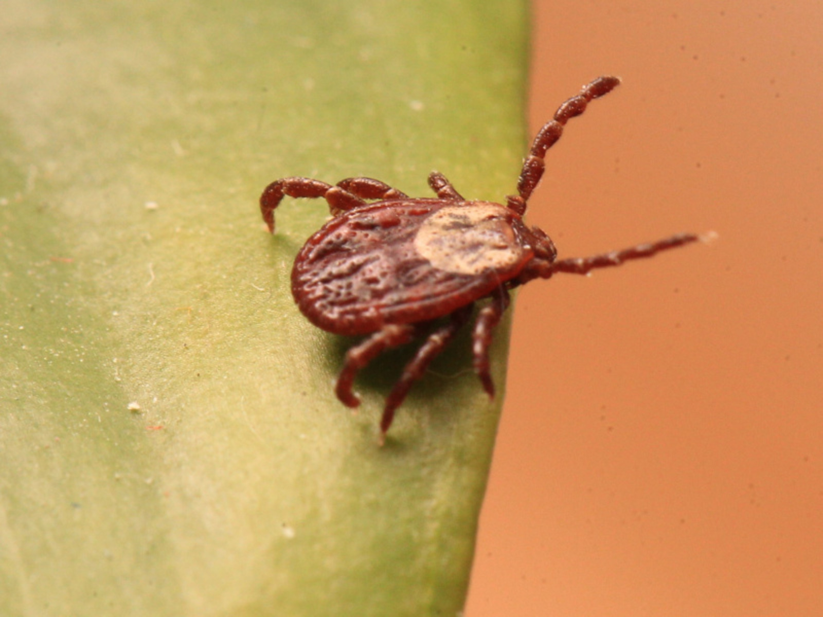 Фото Олега Яровикова.