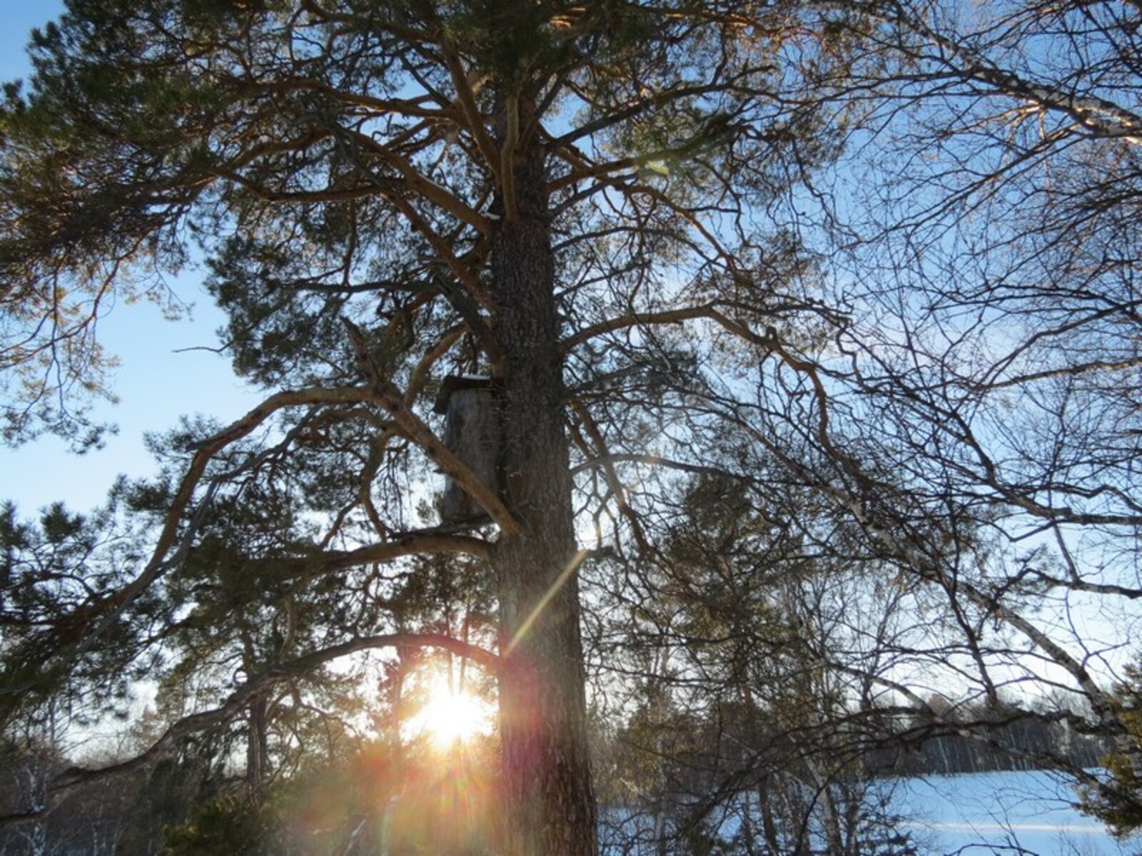 Фото предоставлено Башкирским отделением РГО.