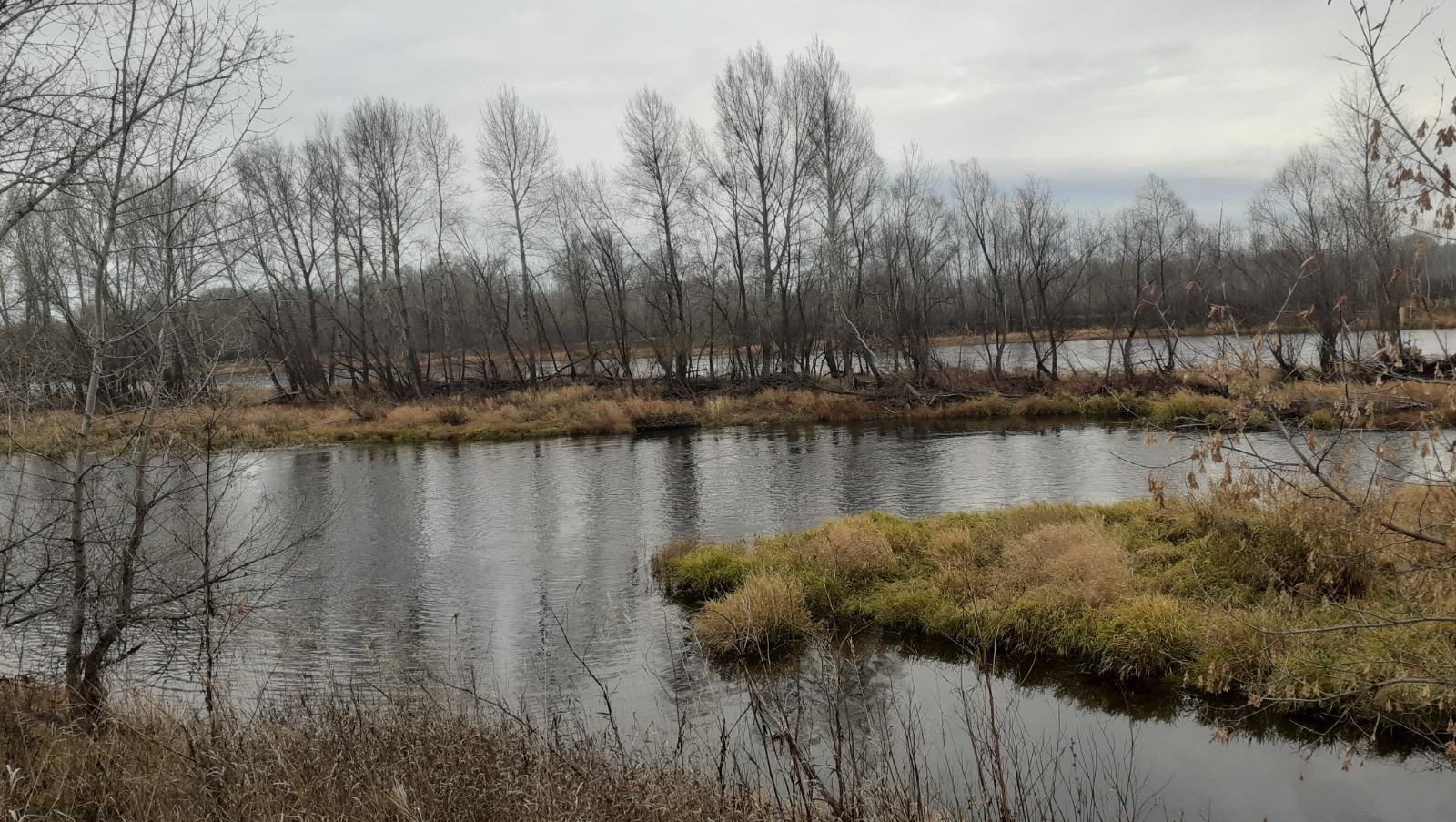 Владимира Шакиева. "Общественная электронная газета".