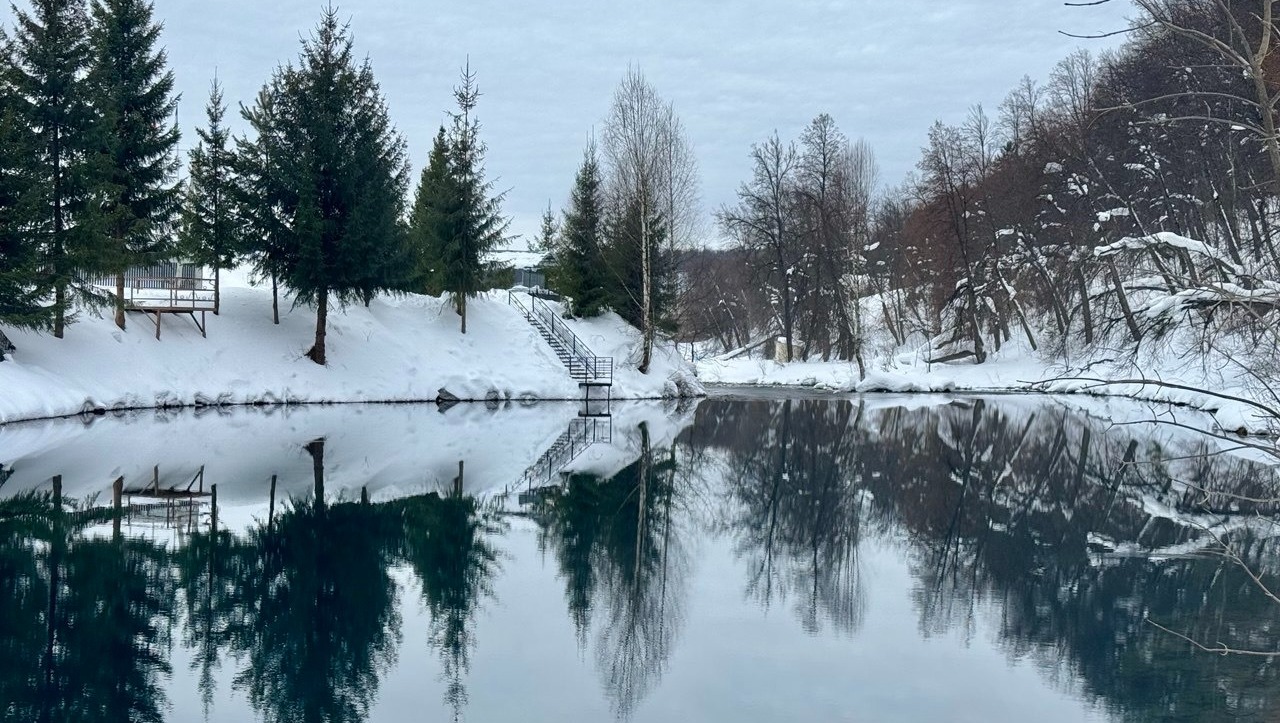 Елены Колоколовой. «Общественная электронная газета».