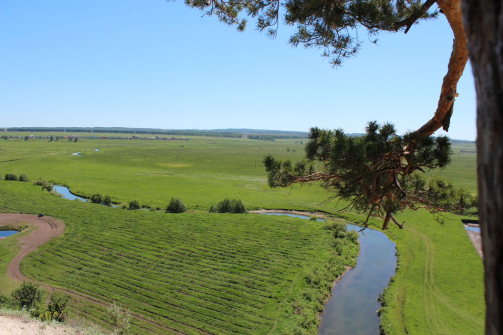 Фото автора.