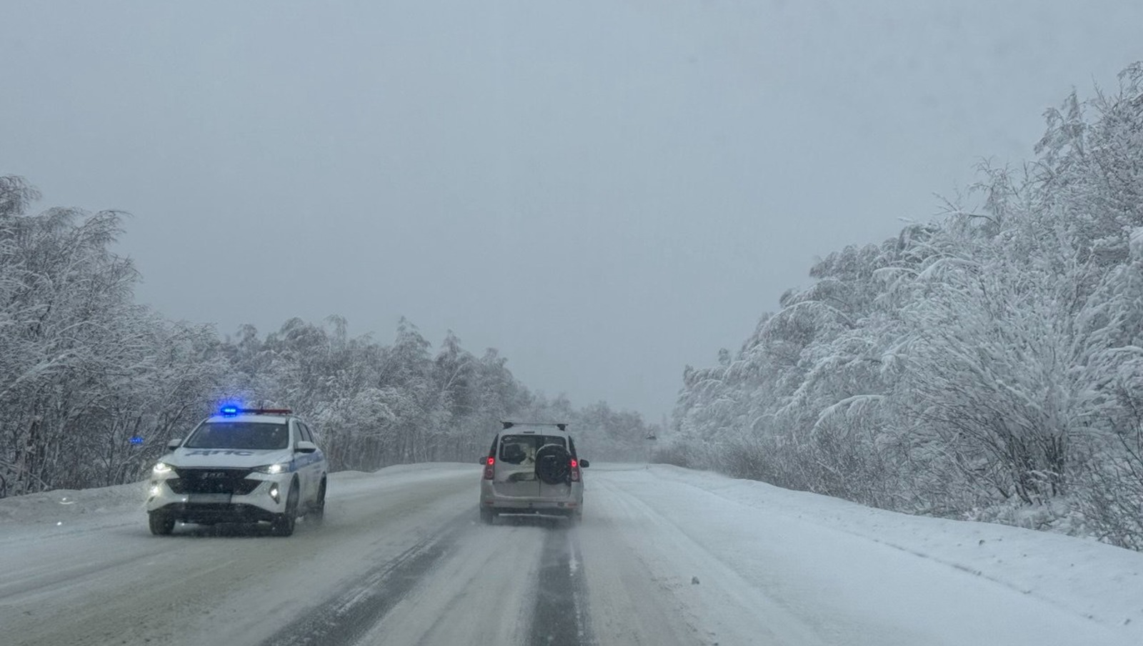 Елены Колоколовой.  «Общественная электронная газета».
