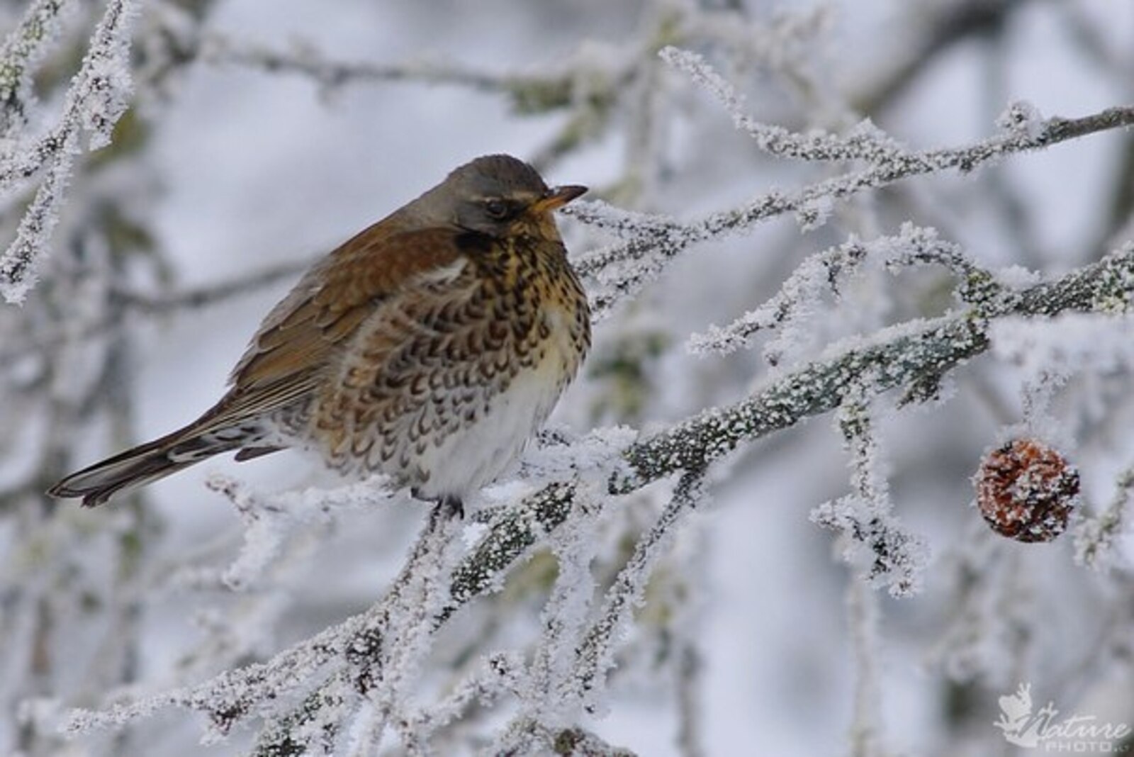 Фото предоставлено Полиной Полежанкиной.