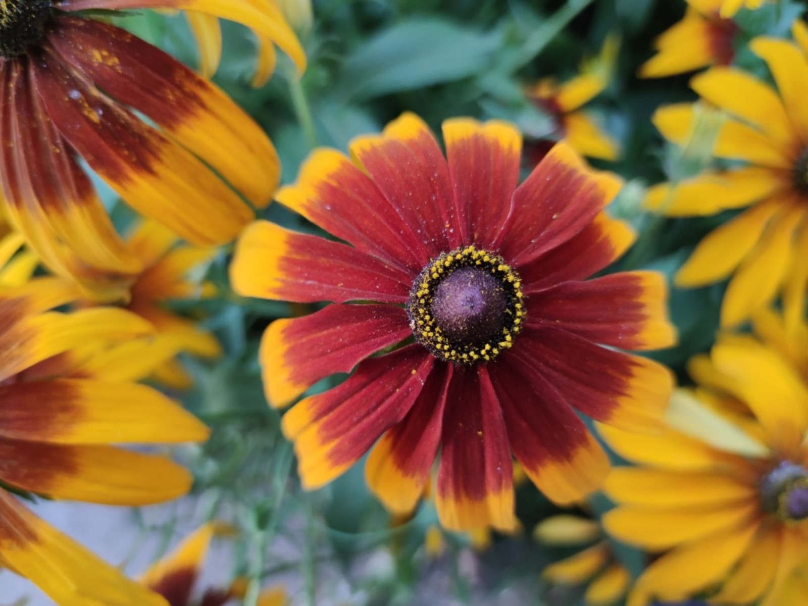 Дарьи Святохиной.