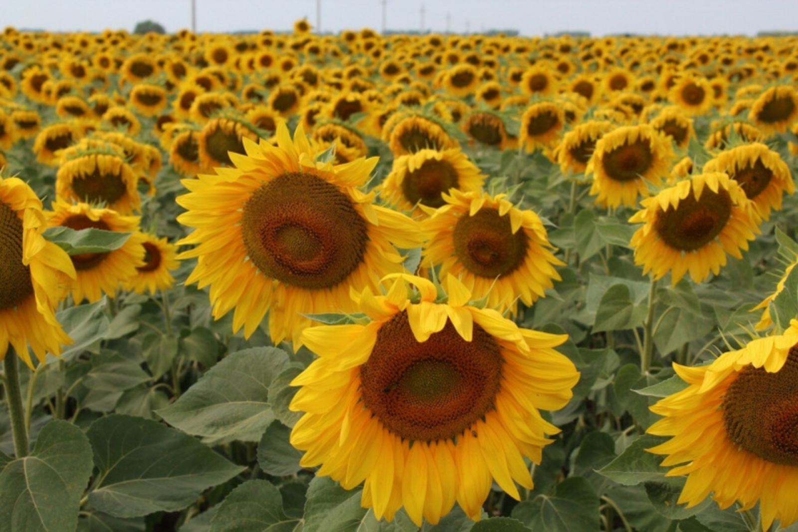 Фото Дарьи Святохиной.